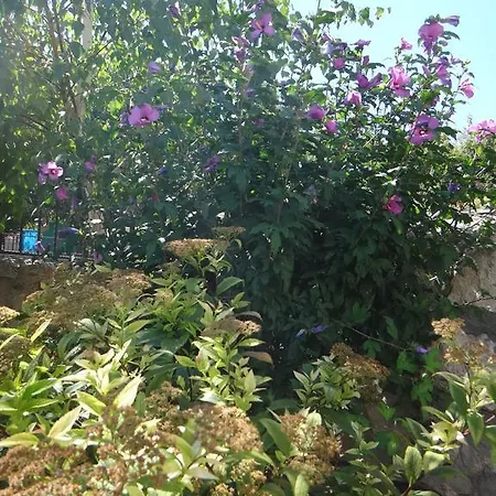 Villa Varna Holiday home