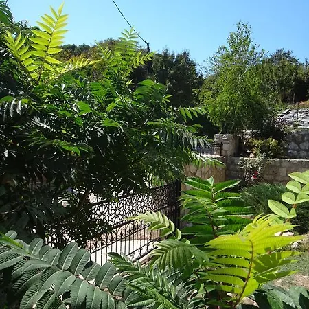 Villa Varna *